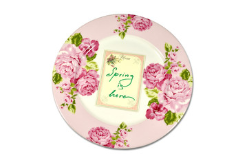 Spring plate
