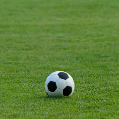 Obraz premium soccer ball on green grass