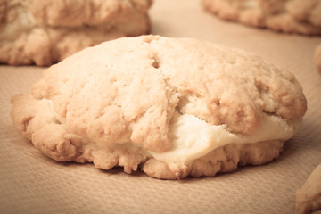 Cookies with cottage cheese - sochnik on baking paper. Toned