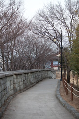 Fototapeta premium 한국전통이미지