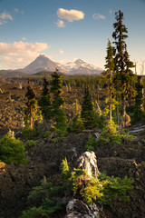 Mckenzie Pass Three Sisters Cascade Mountain Range Lava Field