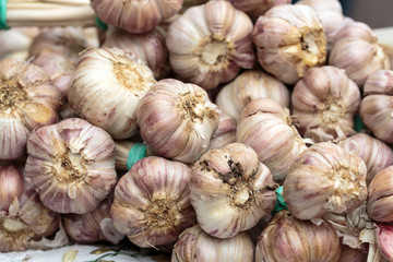 Close up of bulbs of fresh garlic