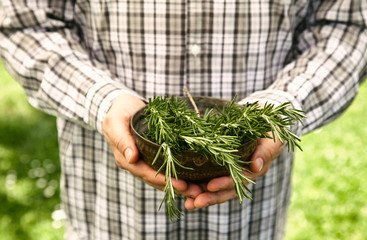 Farmer with rosemary