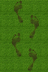 Green grass with footprints background texture