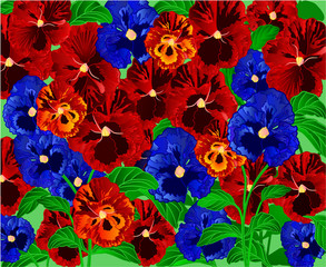 Pansies floral background vector