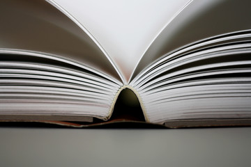 Detail of an symmetrically opened book.