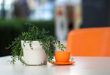 Dış mekan kafe