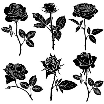 Set of silhouette of roses