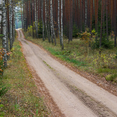 Fototapeta na wymiar Road through the autumn forest