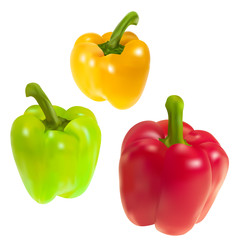 Set of three sweet pepper. Vector.