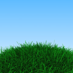 Background with green grass and blue sky, 3d render