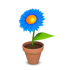 Blume blau auf weiss