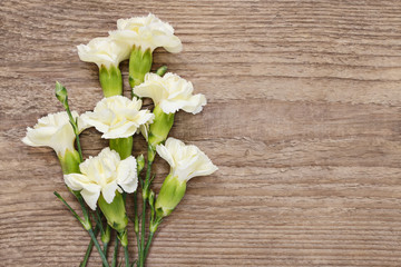 Carnation flowers on wooden background