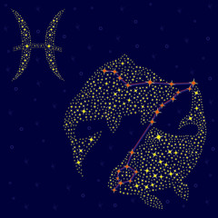 Fototapeta na wymiar Zodiac sign Pisces over starry sky