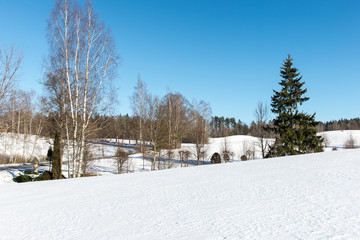 Fototapeta na wymiar snowy winter landscape with snow covered trees