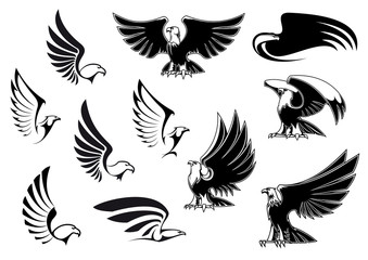 Naklejka premium Eagles for logo, tattoo or heraldic design