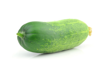 the cucumber