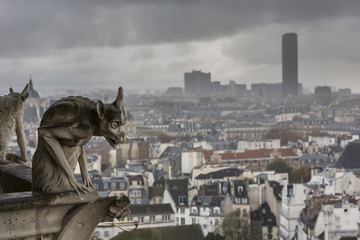 Notre Dame de Paris with Chimeras, Paris