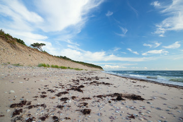 Fototapeta na wymiar Ocean scene with sandy coastline