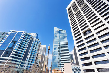 Plakat skyline and office buildings in modern city