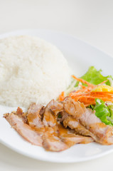 pork and rice