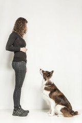 Hundetraining