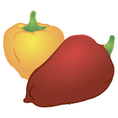 Sweet yellow and red peppers