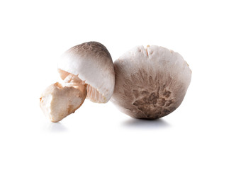 Fresh rice straw mushrooms