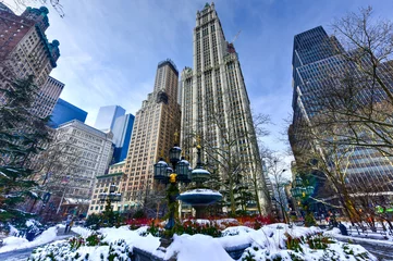 Abwaschbare Fototapete Woolworth Building - New York © demerzel21