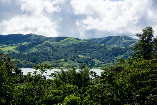 forêt verdoyante du Costa Rica - Amérique Centrale