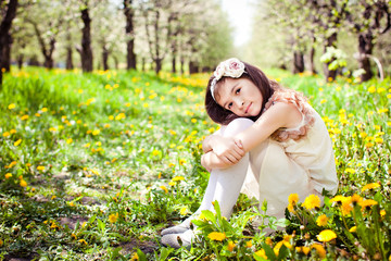 Fototapeta premium girl in dandelion flowers