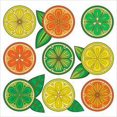 Decorative vector oranges, lemons and limes