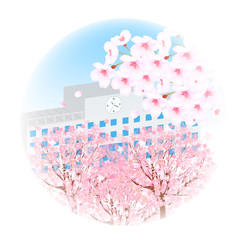 桜　花　背景