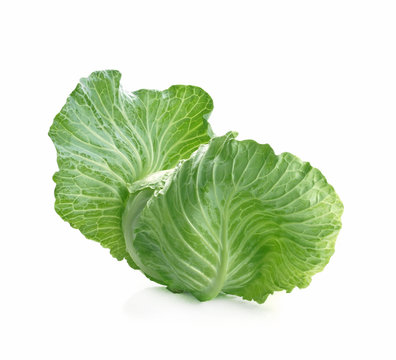 cabbage isolated on white background