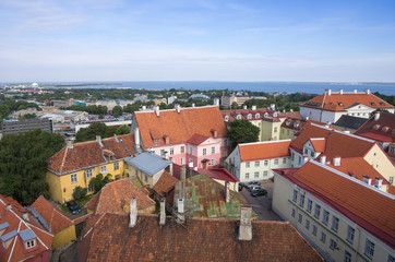 Fototapeta premium Old Tallinn