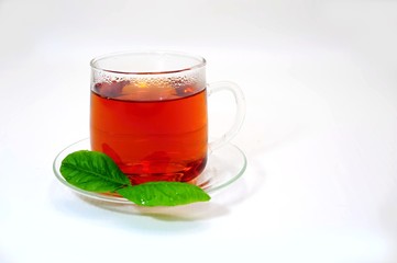 Cup of tea