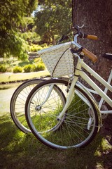 Fototapeta premium Bicycles leaning against tree in park