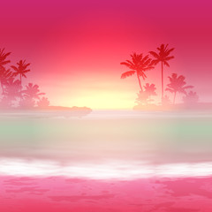 Background with sea and palm trees. Sunset time.
