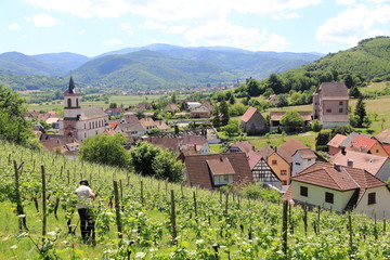 Le village de Walbach dans la vall&eacute;e de Munster