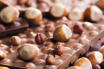 chocolate bars with hazelnuts