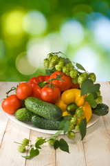 vegetables on the table on a green background