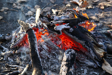 Close up of an outdoor fire burning.