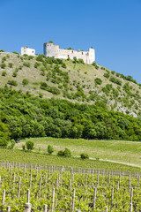 Fototapeta na wymiar ruins of Devicky Castle with vineyards, Czech Republic