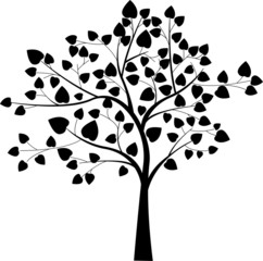 black tree silhouette