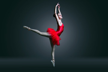 Ballet Dancer - obrazy, fototapety, plakaty