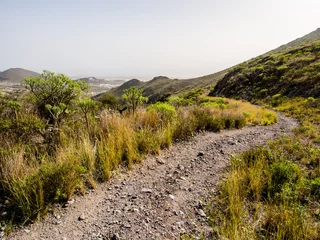 Fototapete Rocky landscape of Tenerife. Canary Islands. Spain © Alex Tihonov