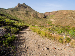 Rocky landscape of Tenerife. Canary Islands. Spain