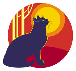 Black cat is looking to the sunset