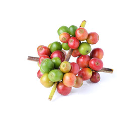 Coffee beans isolated on white background