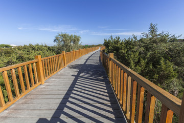 Wooden path in natural surroundings